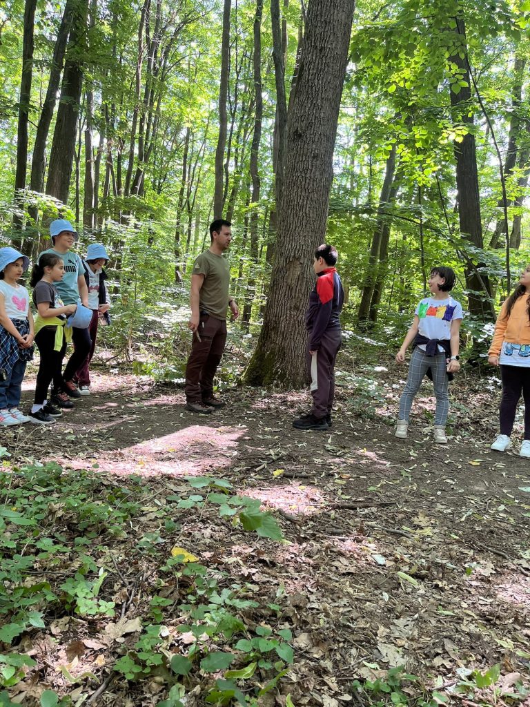 poteca tematica parcul natural comana cu apele curate 14