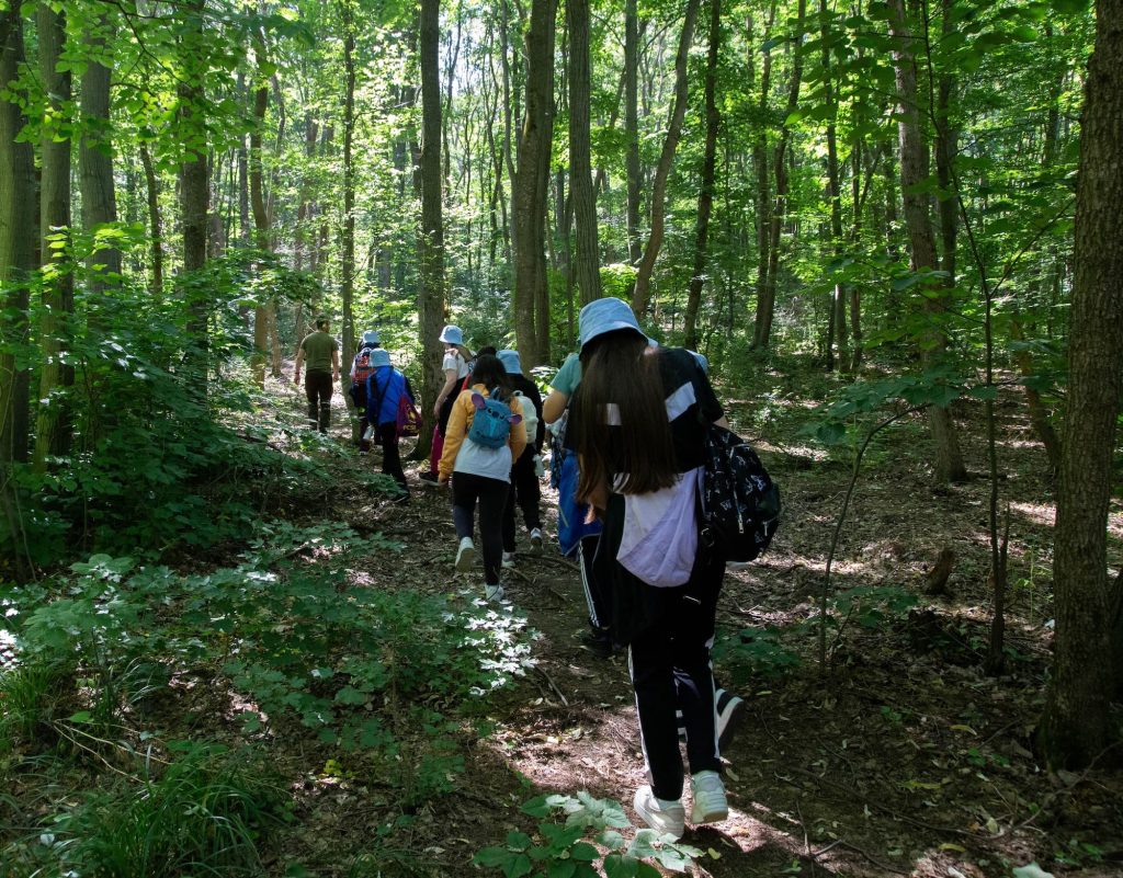 poteca tematica parcul natural comana cu apele curate 19