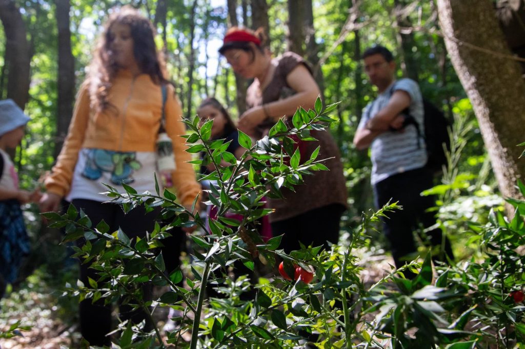 poteca tematica parcul natural comana cu apele curate 21