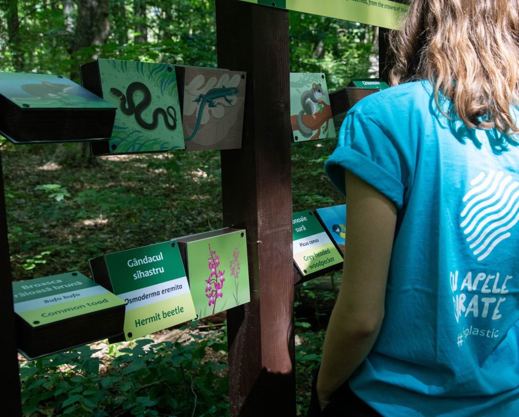 poteca tematica parcul natural comana cu apele curate 24