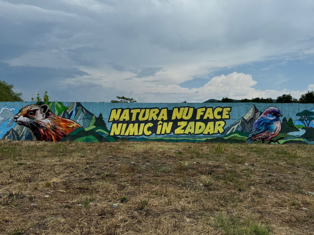 mural cu apele curate Râmnicu Vâlcea 7