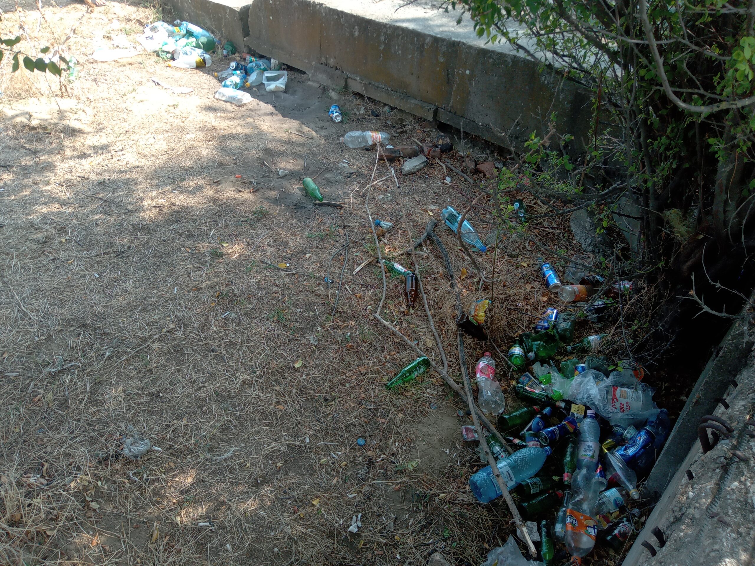 deseuri de plastic pe raul Argeș