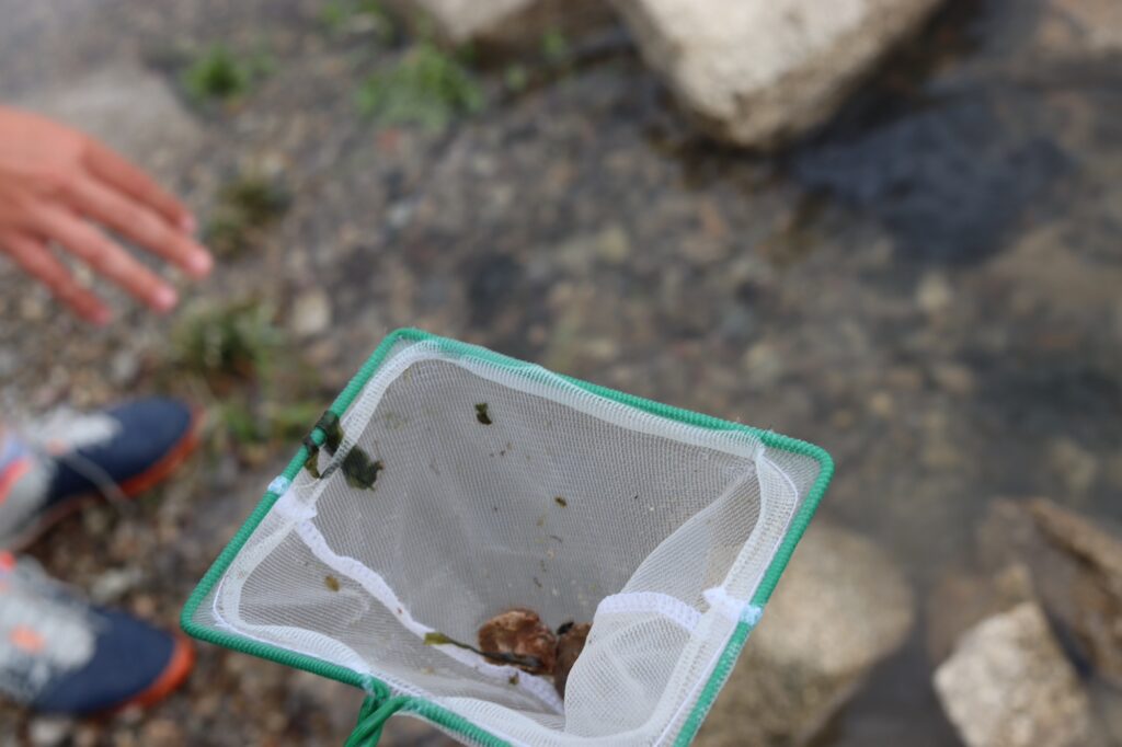 drobeta kituri de testare cu apele curate 7