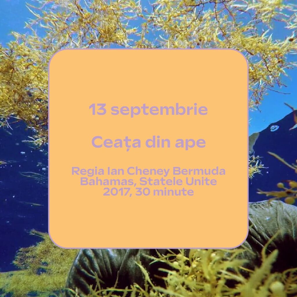 filme festivalul dunarii cu apele curate 2