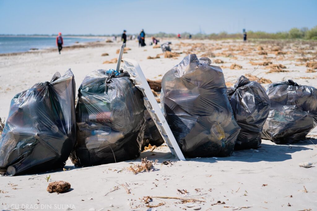 igienizare sulina cu apele curate 3