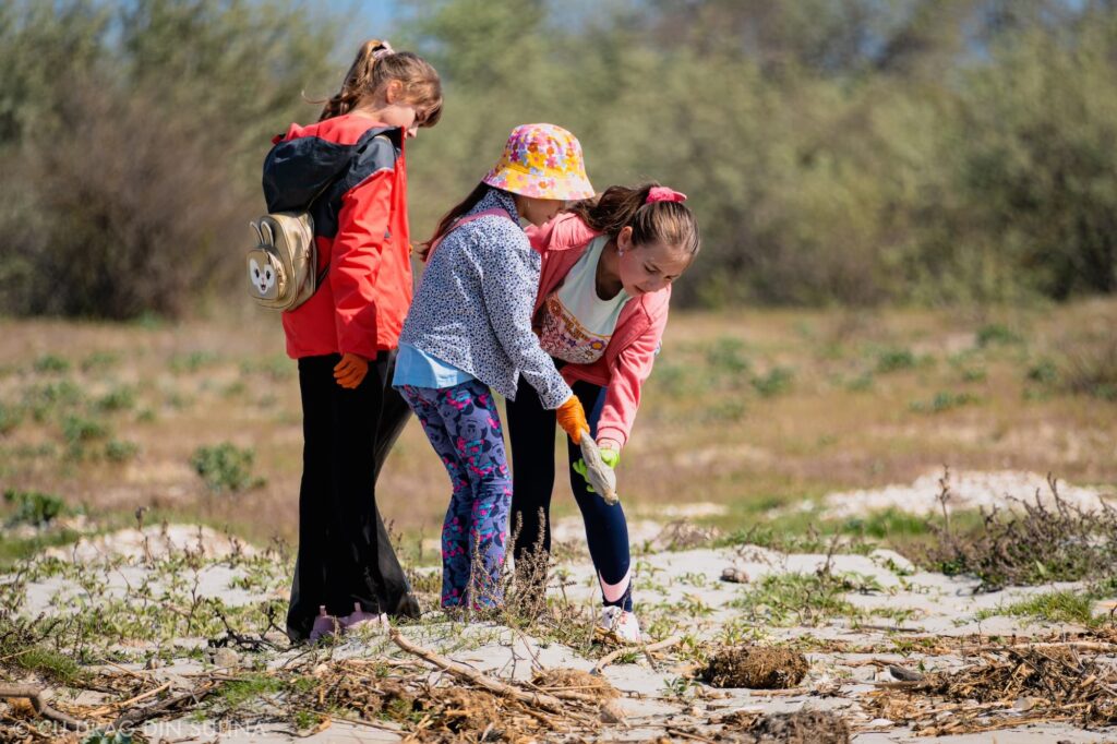 igienizare sulina cu apele curate 5