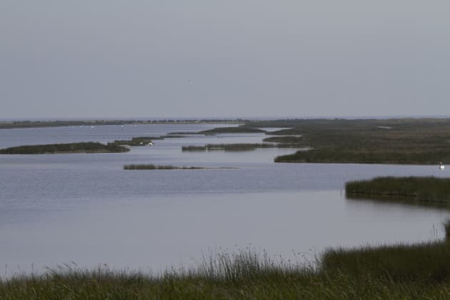 Malul mării între Sf Gheorge și Su