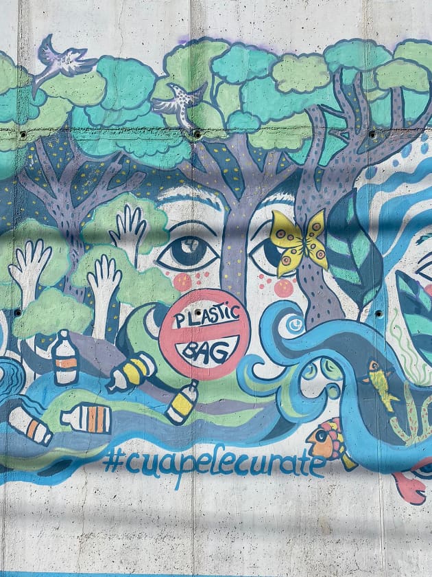 Mural eco din Giurgiu detaliu