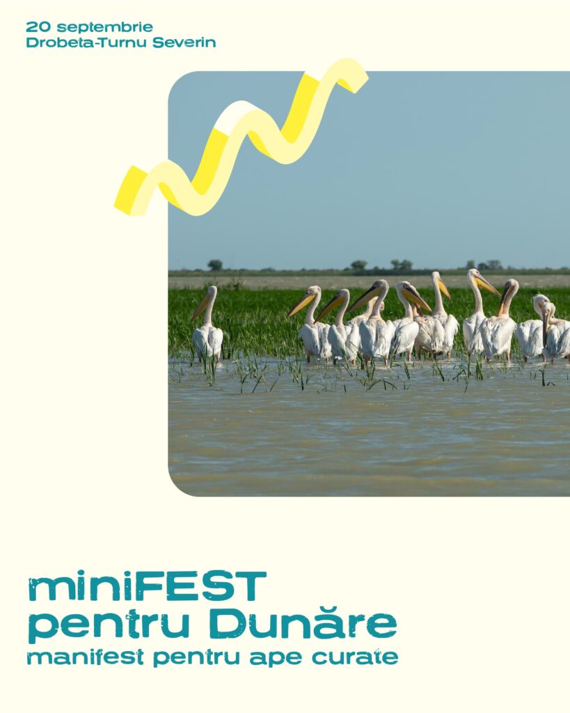 minifest pentru dunare 100 tone plastic cu apele curate-01