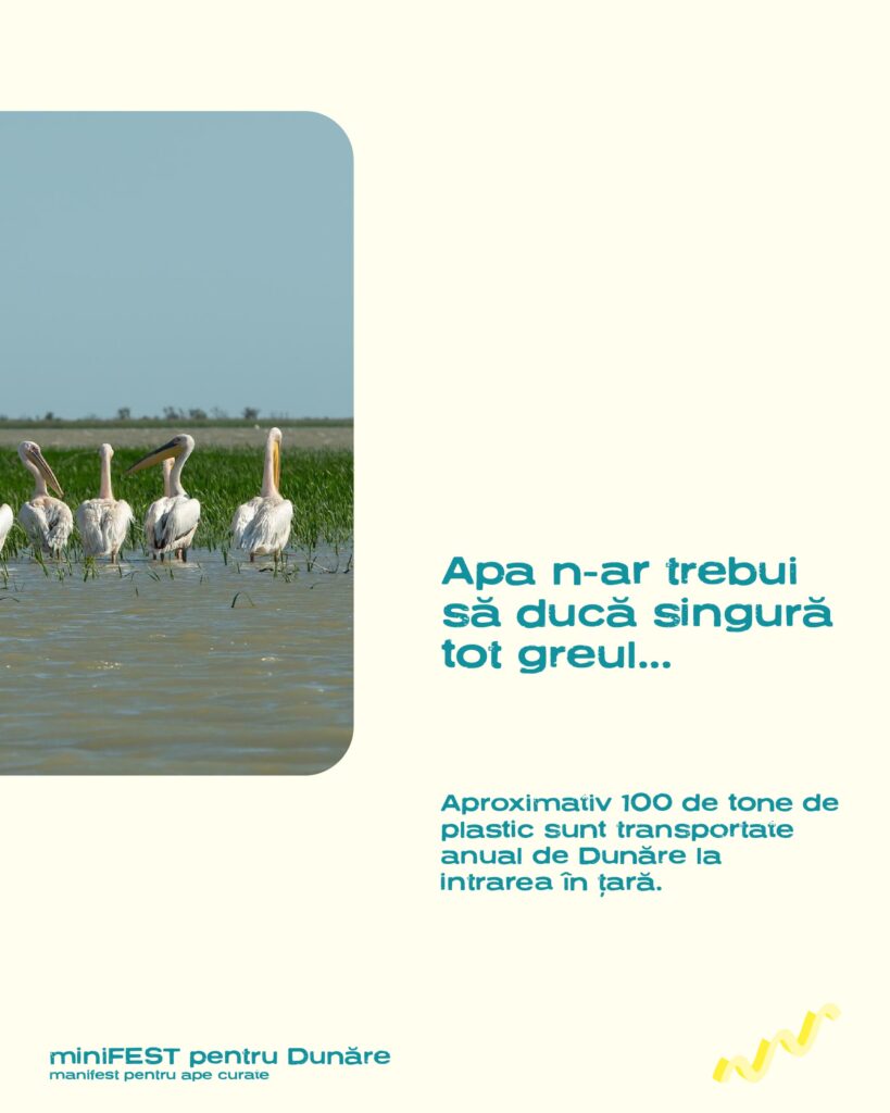 minifest pentru dunare 100 tone plastic cu apele curate-02