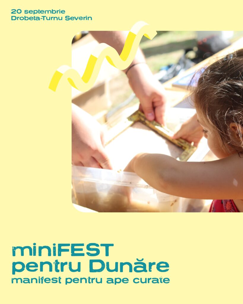 minifest pentru dunare cu apele curate hartie manuala 1