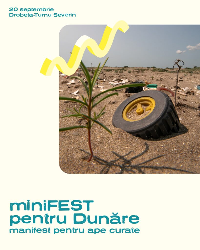 minifest pentru dunare cu apele curate vlad basca