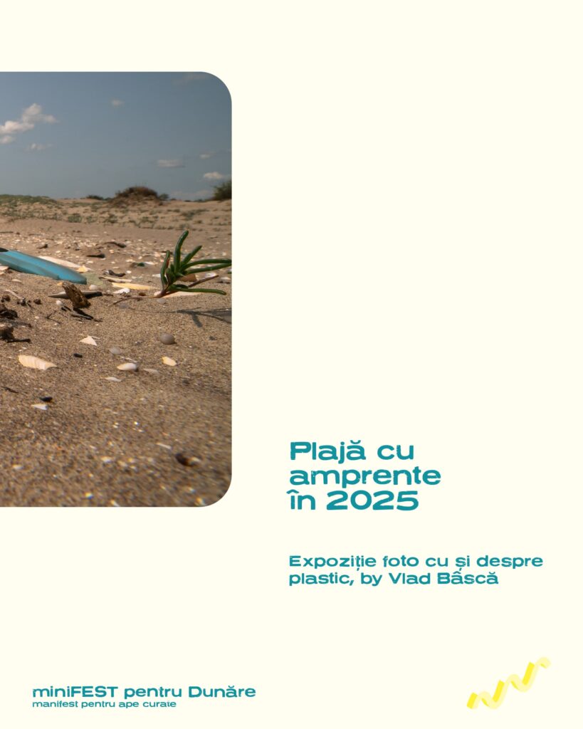 minifest pentru dunare cu apele curate vlad basca 2