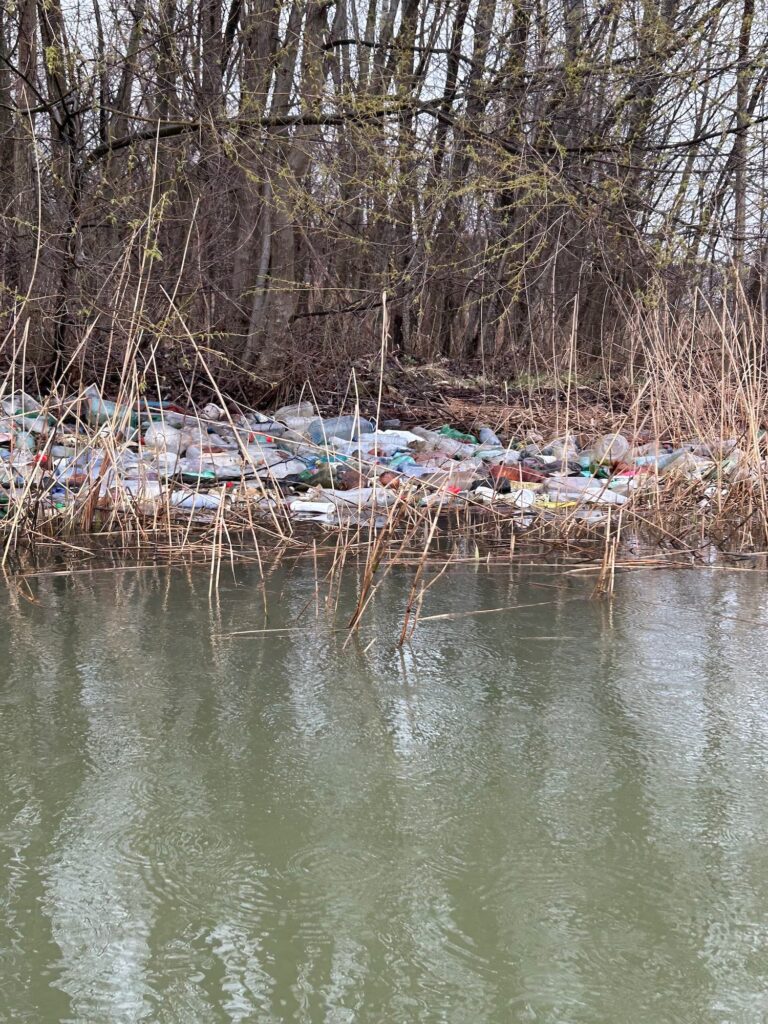 caiagizare martie cu apele curate 15