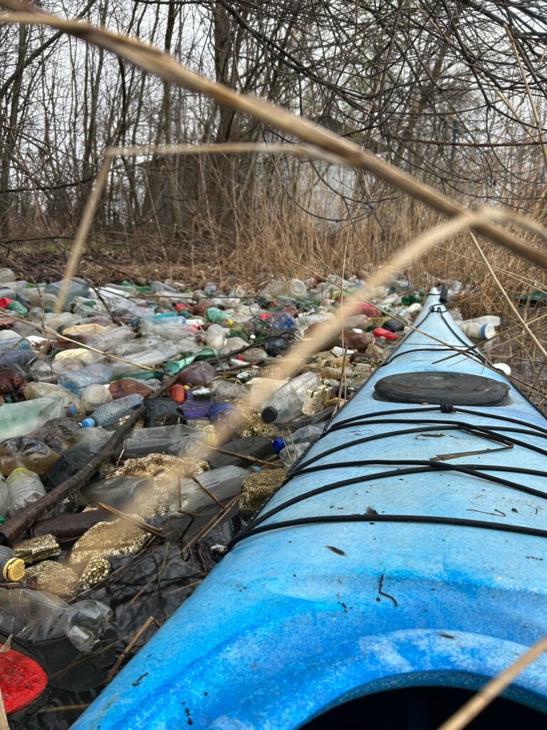 caiagizare martie cu apele curate 2