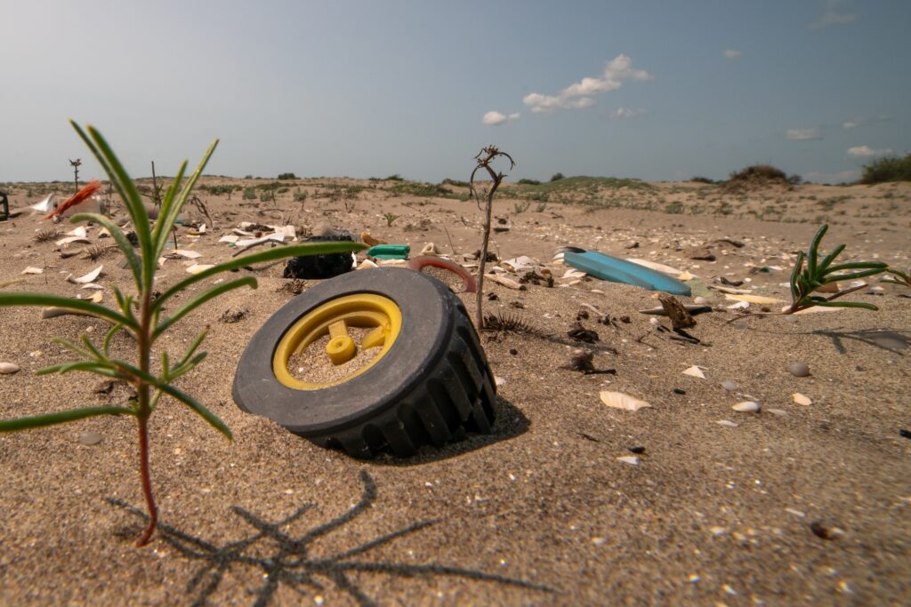 sf ghe vlad basca cu apele curate 1